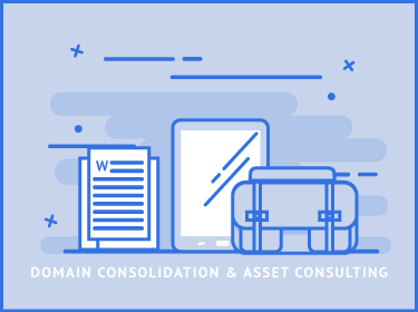 Domain Consolidation and Asset Consultation